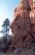 Thumbs/tn_113.Bryce Canjon.jpg